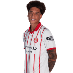 Axel Witsel photo
