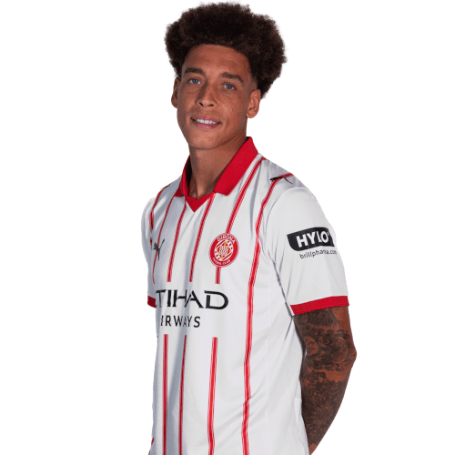 Axel Witsel photo