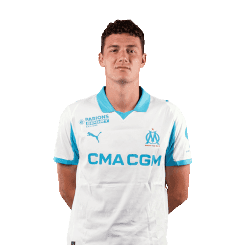 Benjamin Pavard photo