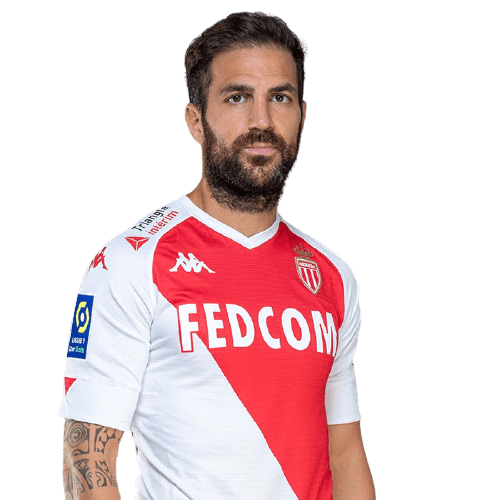 Cesc Fàbregas photo