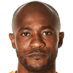 Didier Zokora photo