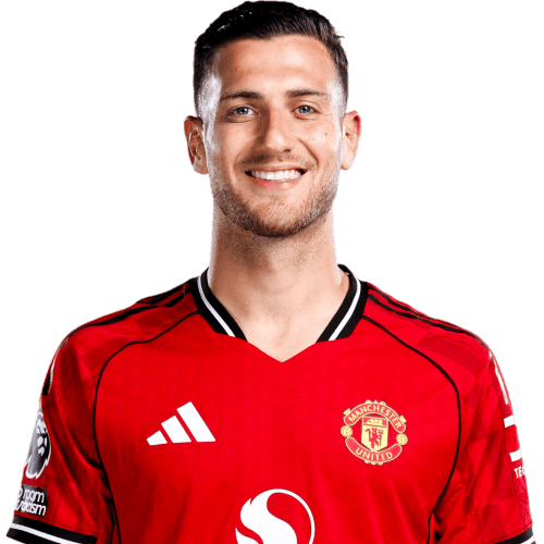 Diogo Dalot photo