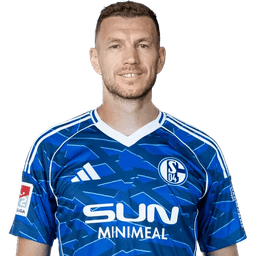 Edin Džeko photo