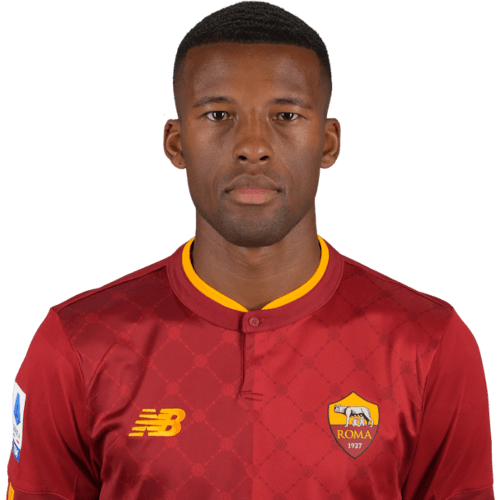 Georginio Wijnaldum photo