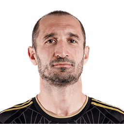 Giorgio Chiellini photo