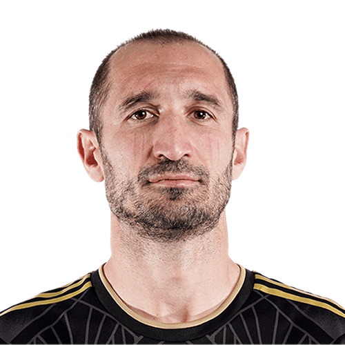 Giorgio Chiellini photo