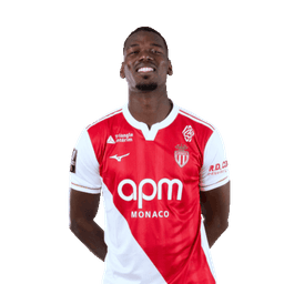 Paul Pogba photo