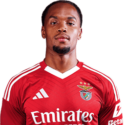 Renato Sanches photo