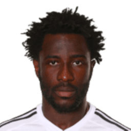 Wilfried Bony photo